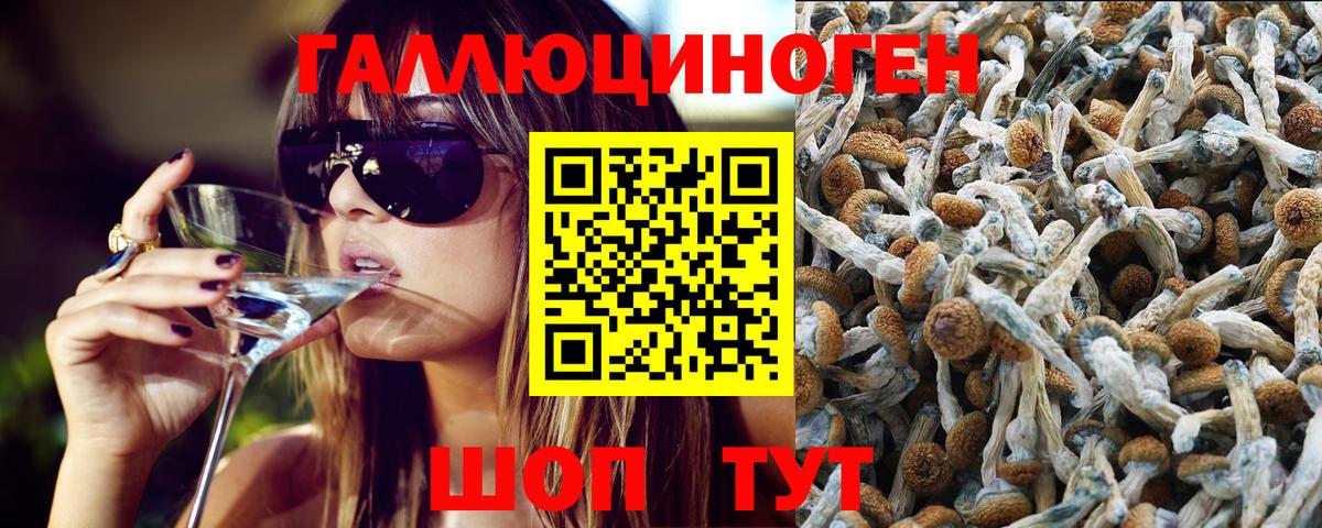 Псилоцибиновые грибы Cubensis Рузаевка