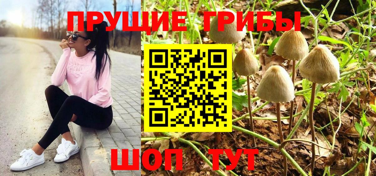 Псилоцибиновые грибы прущие грибы  Вход с VPN  Рузаевка  Галлюциногенные грибы Psilocybe 